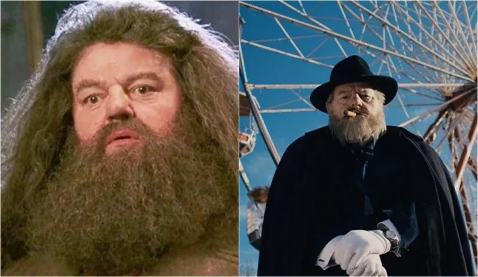 Primeiro filme de Harry Potter faz 20 anos: veja antes e depois de atores - imagem 59391