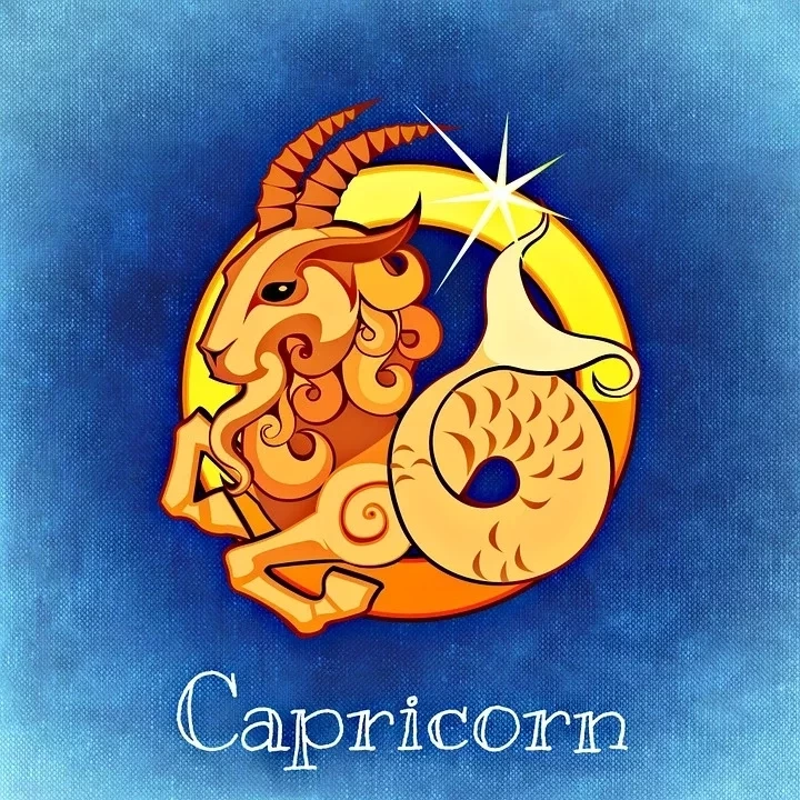 Capricórnio 