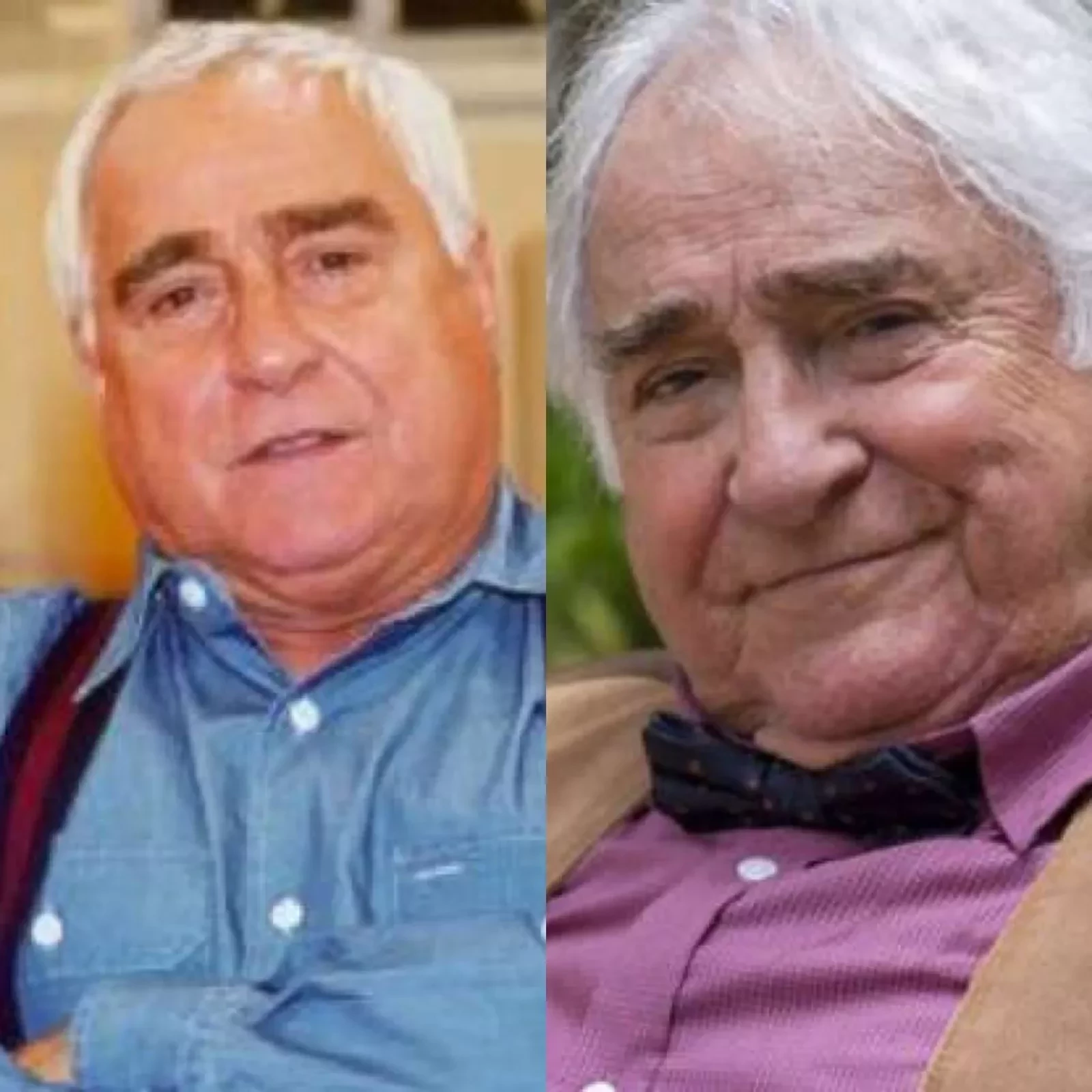 Vavá / Luís Gustavo