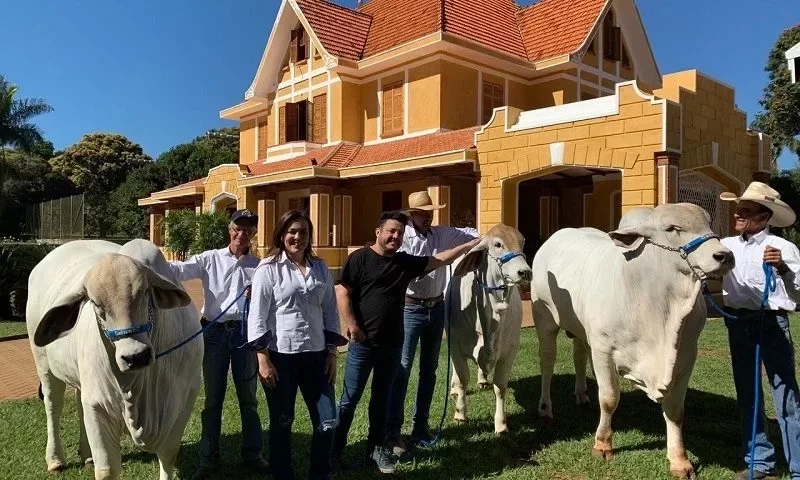 9 sertanejos e suas fazendas milionárias; saiba como elas são - imagem 60555