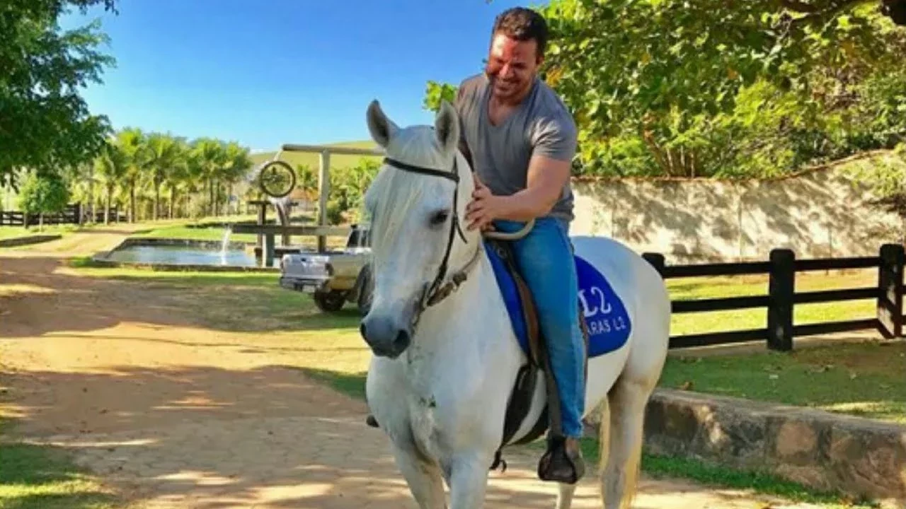 Conheça os haras milionários dos astros brasileiros da música - imagem 60940