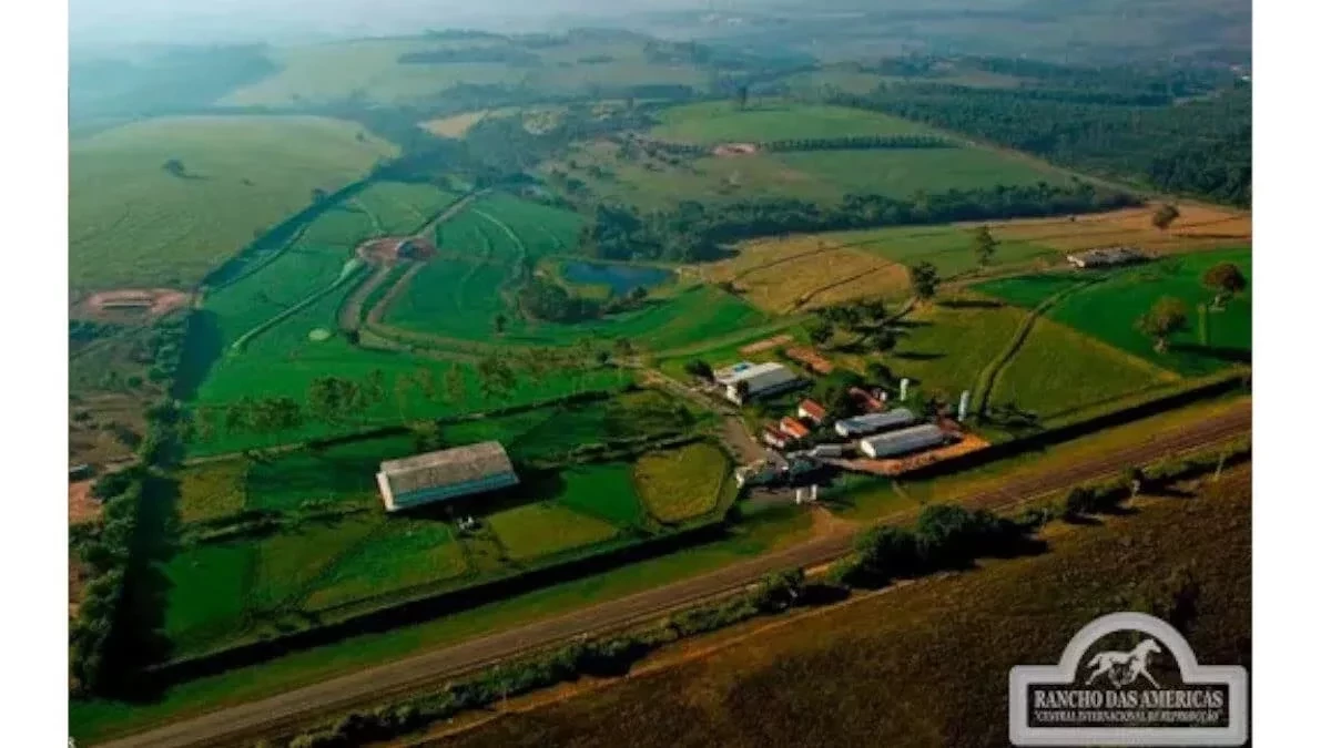 Conheça os haras milionários dos astros brasileiros da música - imagem 60947
