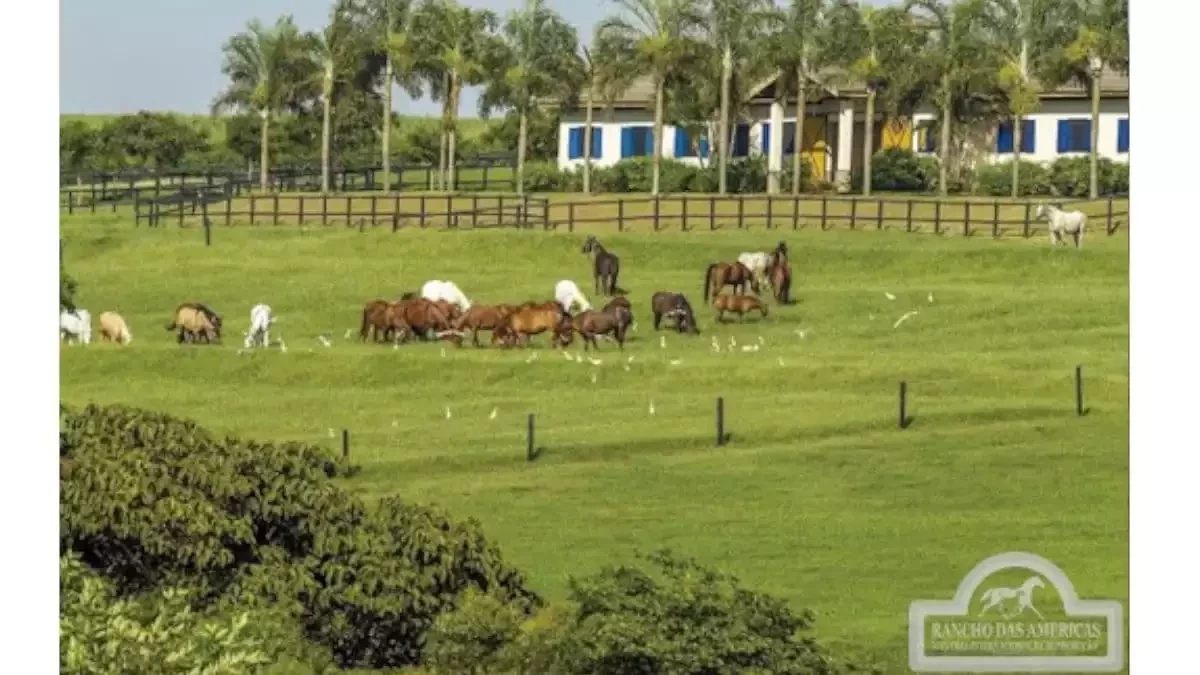Conheça os haras milionários dos astros brasileiros da música - imagem 60946