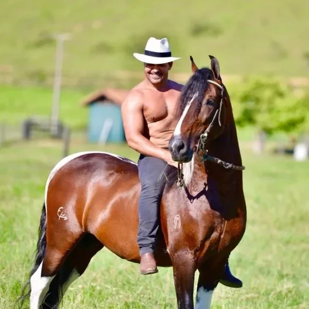 Conheça os haras milionários dos astros brasileiros da música - imagem 60943