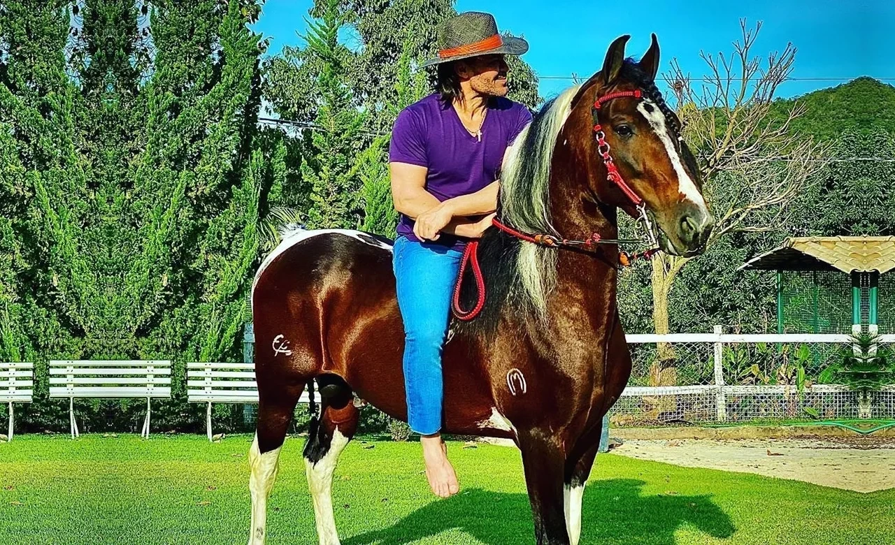 Conheça os haras milionários dos astros brasileiros da música - imagem 60942