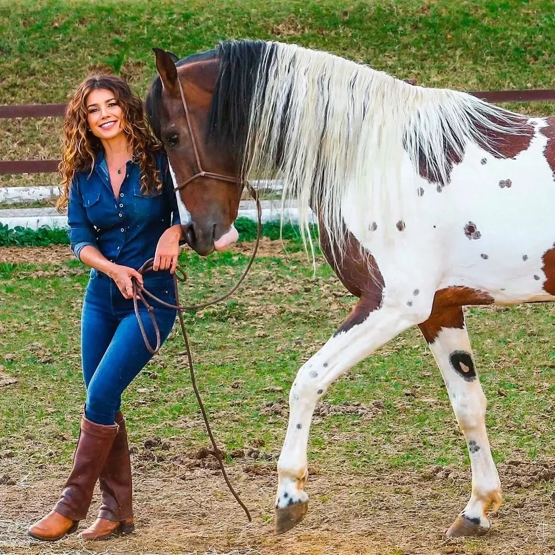 Conheça os haras milionários dos astros brasileiros da música - imagem 60936