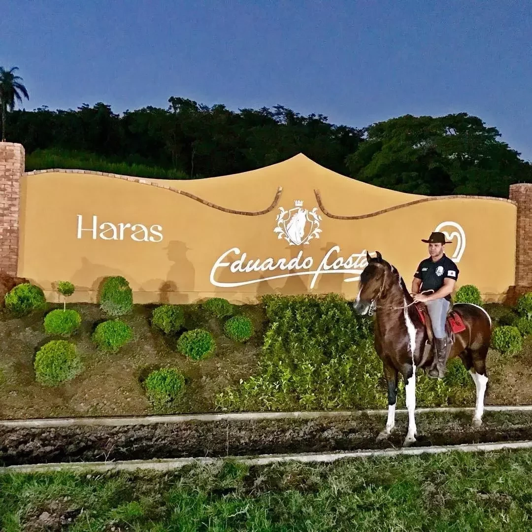 Conheça os haras milionários dos astros brasileiros da música - imagem 60941