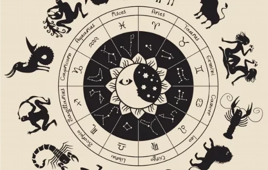 Começar de novo! Vem conferir como vai ser a última segunda de novembro