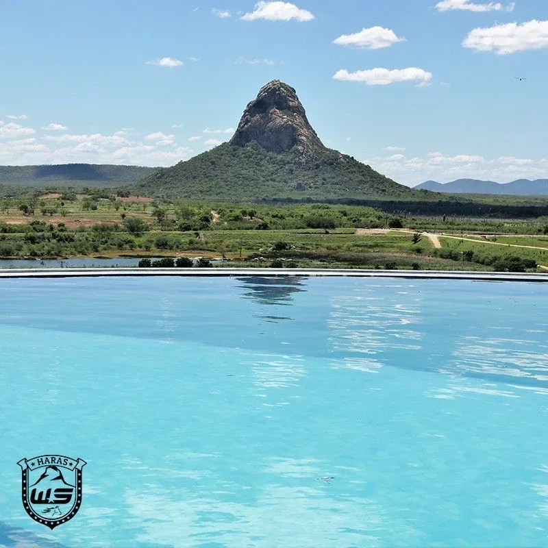 Se surpreenda com o haras milionário do cantor Wesley Safadão - imagem 63939