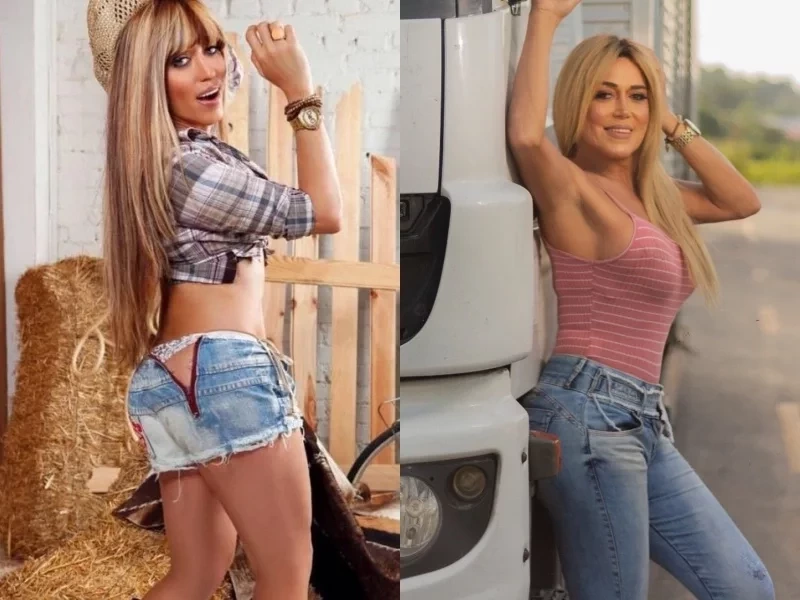 Marcela Porto - Mulher Abacaxi