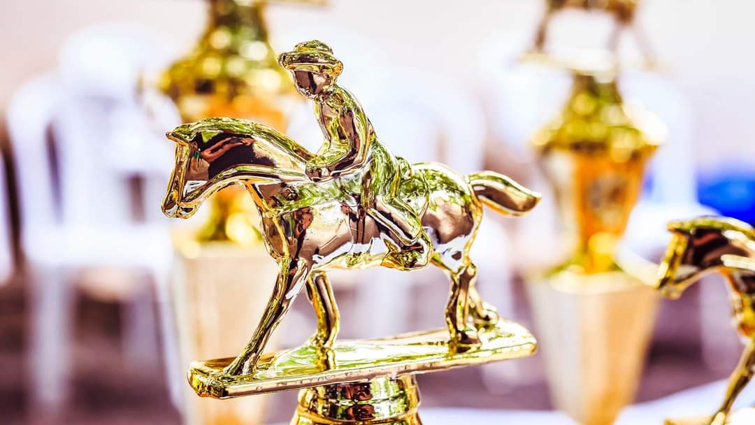 A festa da fé e da cultura do povo monsenhorgilense no último dia 2021 - Imagem 33