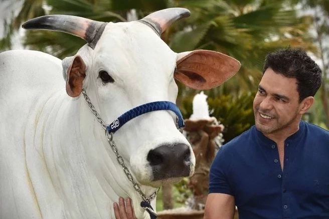 Conheça os famosos que são pecuaristas e suas fazendas milionárias - imagem 62039