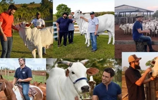 Confira o top 10 dos cantores sertanejos da pecuária brasileira