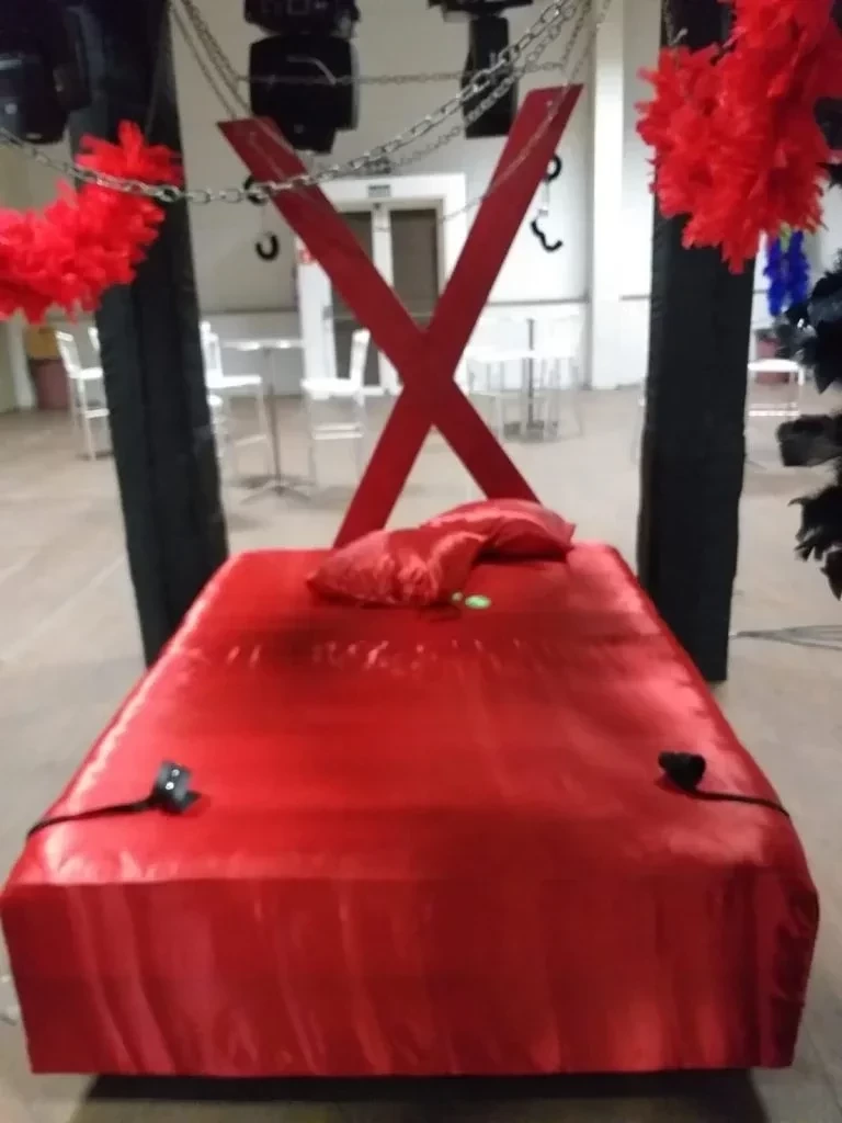 Quarto secreto: Confira fotos do picante cômodo da Farofa da Gkay - imagem 62442