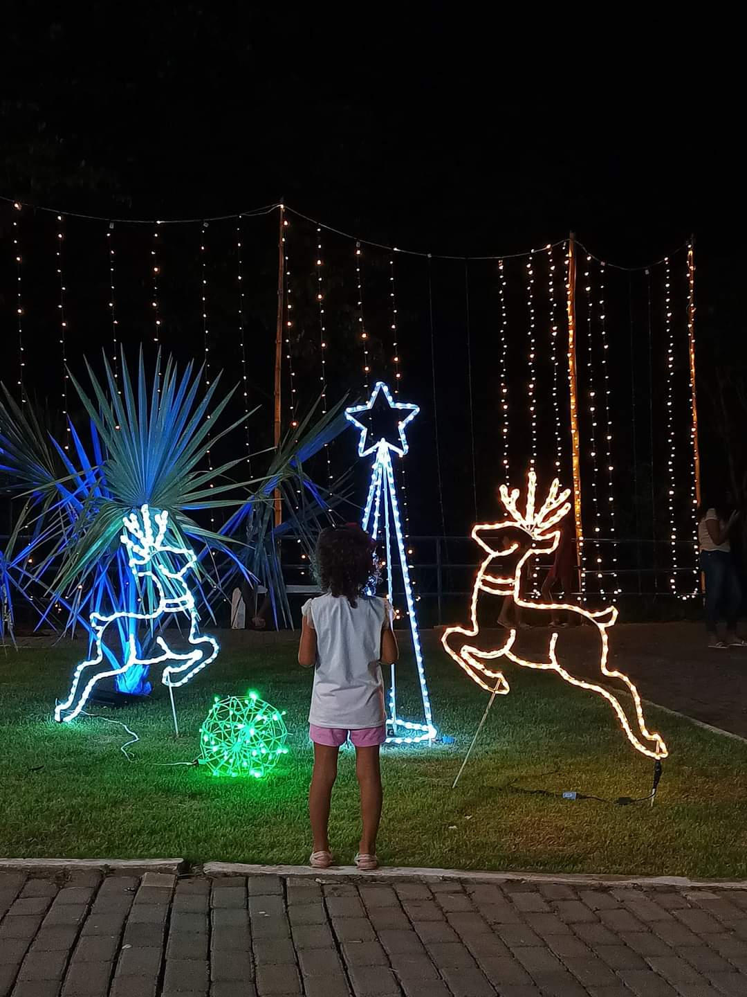 O espírito Natalino chegou em Monsenhor Gil. Prefeito entrega iluminação - Imagem 26