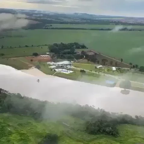 Confira o top 10 dos cantores sertanejos da pecuária brasileira - imagem 62517