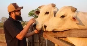 Confira o top 10 dos cantores sertanejos da pecuária brasileira - imagem 62518