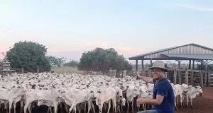 Confira o top 10 dos cantores sertanejos da pecuária brasileira - imagem 62513