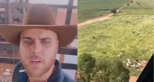 Confira o top 10 dos cantores sertanejos da pecuária brasileira - imagem 62519