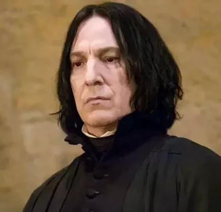 Alan Rickman -  Professor Snape