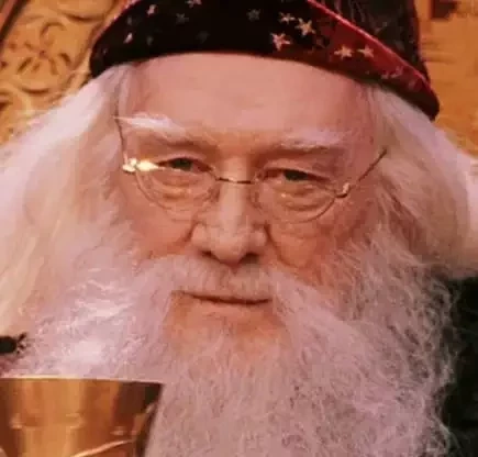 Richard Harris - Professor Albus Dumbledore