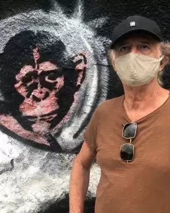 Você consegue adivinhar quem são os famosos atrás da máscara? - imagem 33487