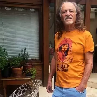 Você consegue adivinhar quem são os famosos atrás da máscara? - imagem 33488