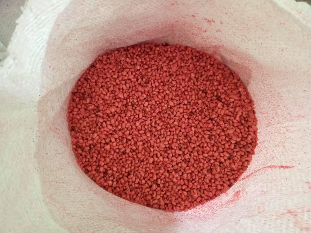 Confira as primeiras ações da SDR de Coivaras em 2021 - Imagem 4