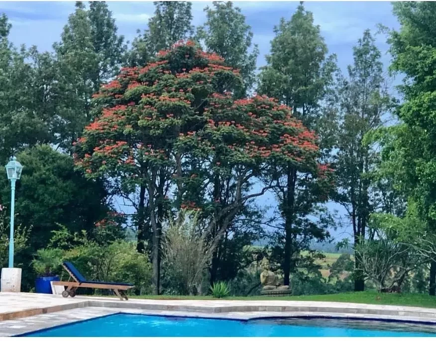 Conheça as fazendas de luxo deslumbrantes dos famosos brasileiros - imagem 34747