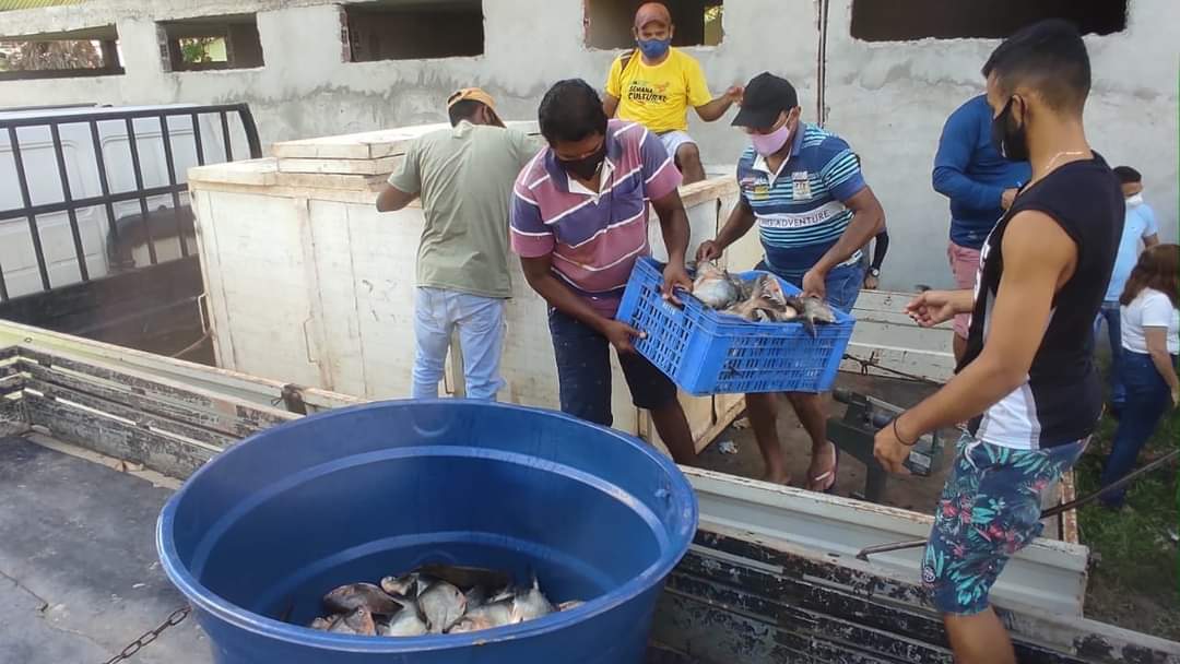 Prefeito João Luiz mantém tradição de distribuição do pescado em Monsenhor Gil - Imagem 3