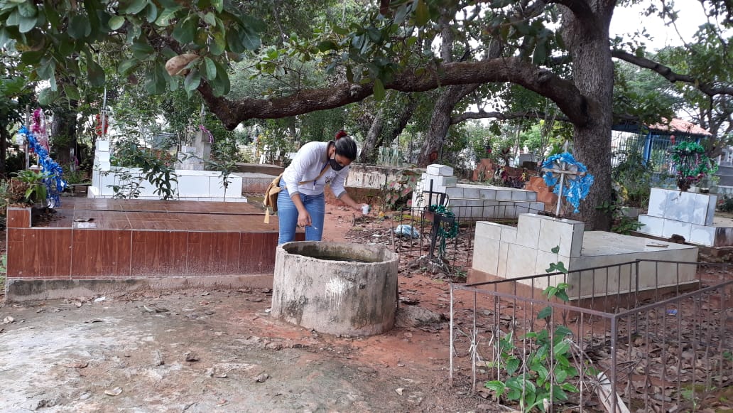 Agentes visitam residências para detectar focos do mosquito da dengue