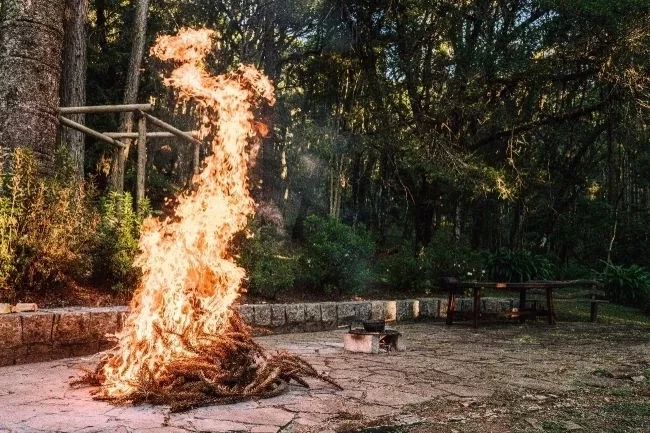 Monte Verde: seis motivos para conhecer o lugar - imagem 37464