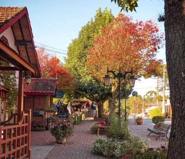 Monte Verde: seis motivos para conhecer o lugar - imagem 37462