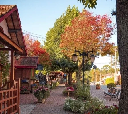 Monte Verde: seis motivos para conhecer o lugar