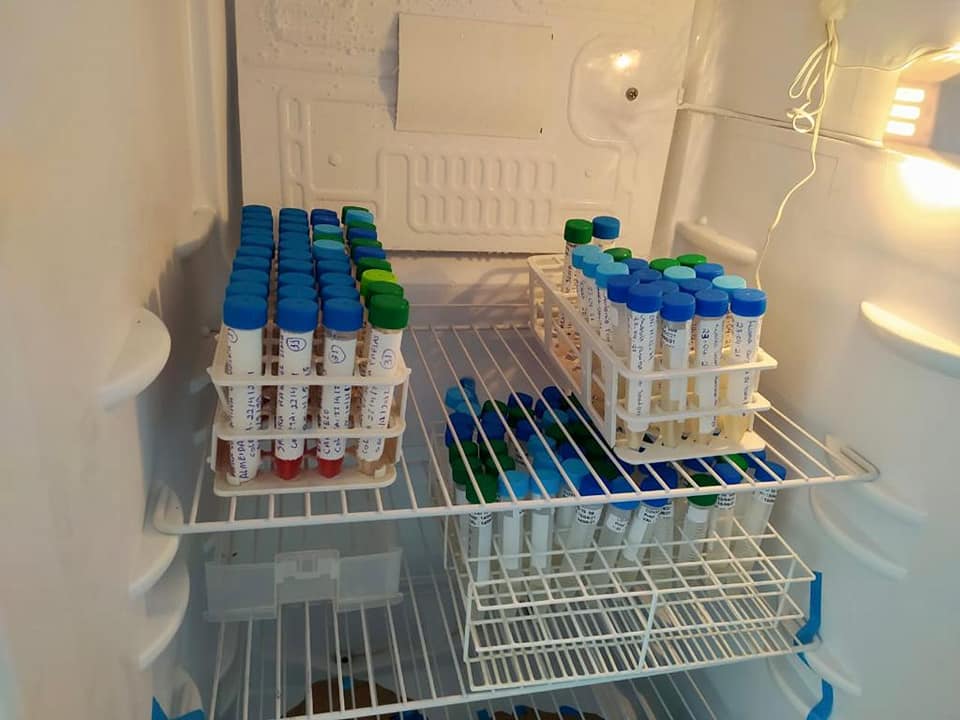 Município intensifica procedimentos no combate ao Covid-19  - Imagem 3