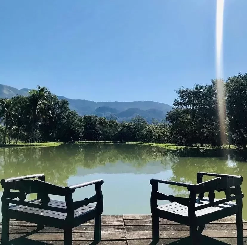 Ator Luiz Fernando Guimarães tem mansão com lago particular