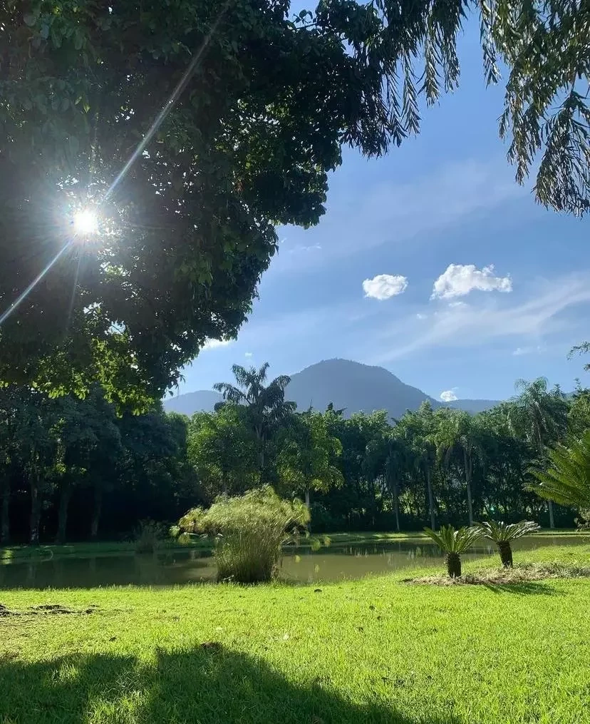 Ator Luiz Fernando Guimarães tem mansão com lago particular