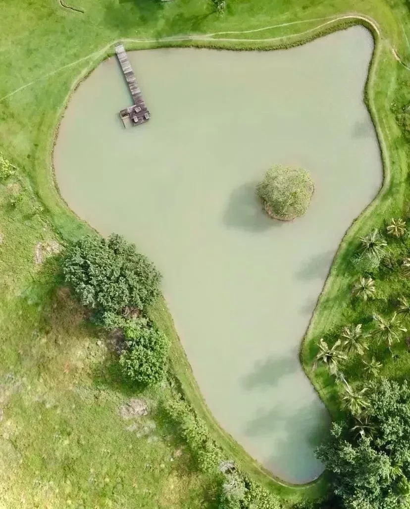 Ator Luiz Fernando Guimarães tem mansão com lago particular