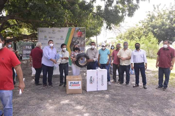 Itainópolis se torna referência na produção de mel no Piauí - Imagem 1