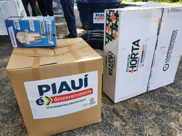 Itainópolis se torna referência na produção de mel no Piauí - Imagem 2