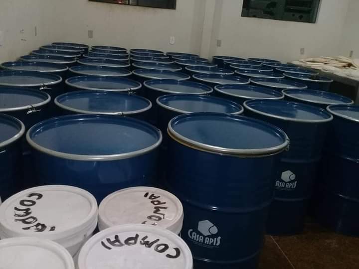 Itainópolis se torna referência na produção de mel no Piauí - Imagem 3