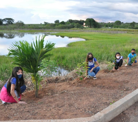 Prefeitura de Hugo Napoleão desenvolve ação ecológica