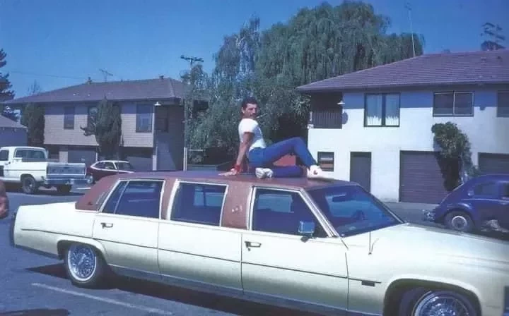 Freddie Mercury. Crédito: Reprodução/Facebook.