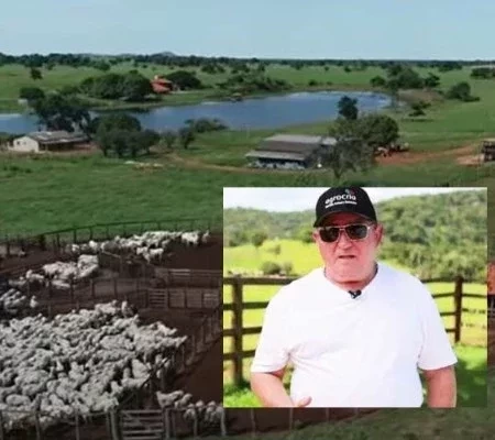 Confira novas fotos da fazenda de R$ 350 milhões vendida por Amado Batista
