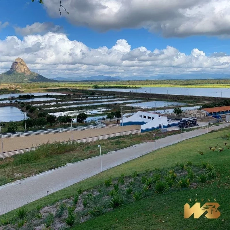 Conheça o haras milionário de Wesley Safadão em fotos de tirar o fôlego - imagem 41512