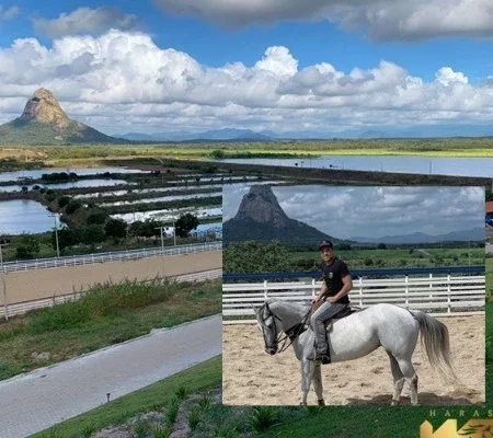 Conheça o haras milionário de Wesley Safadão em fotos de tirar o fôlego