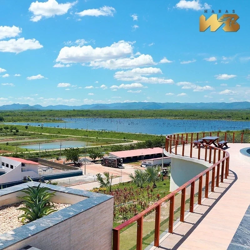 Conheça o haras milionário de Wesley Safadão em fotos de tirar o fôlego - imagem 41513