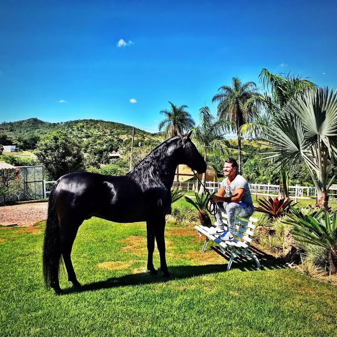 Veja a fazenda milionária que Eduardo Costa pode vender para sair do Brasil - imagem 41563