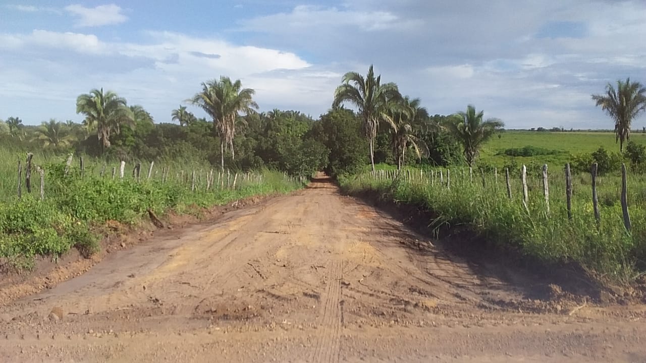 PML está fazendo recuperação de estrada vicinais do Município - Imagem 2