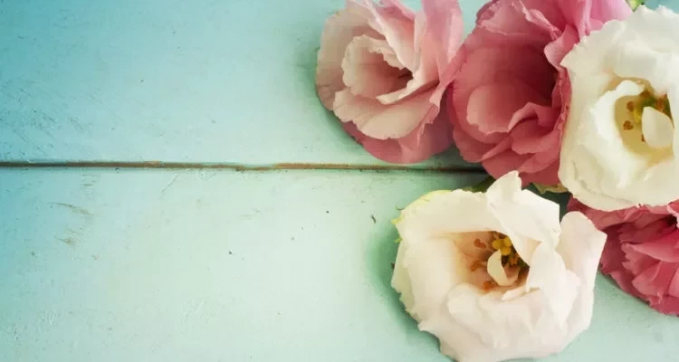 Dia das mães: Na dúvida do presente, veja o gosto de cada signo - imagem 39252